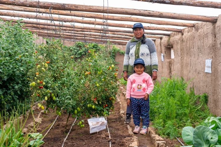 Mother and daughter in Peru tomato field