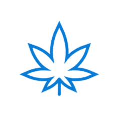 Drip Irrigation and Fertigation Protocol for Medical Cannabis