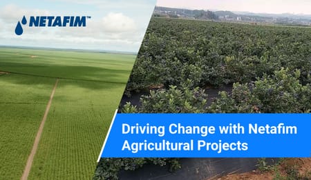 A worldwide track record from inception to completion