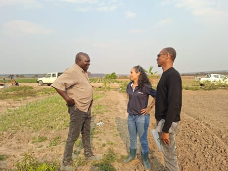 Farm by Farm: Building a Stronger Agricultural Future in Angola