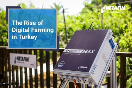 Harvesting Progress: Technology Revives Farming in Turkey