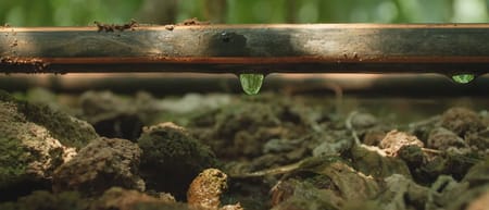 La Circularidad y la Sustentabilidad: Claves para el Futuro del Desarrollo Agrícola en México