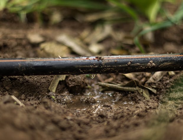 Precision Irrigation