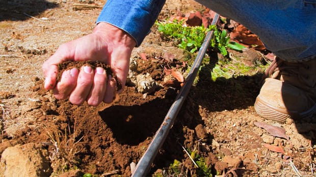 Importancia de los sensores de humedad para diseñar una estrategia de riego exitosa