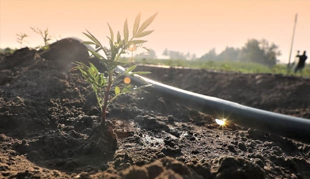 El riego de precisión será clave en la agricultura sustentable