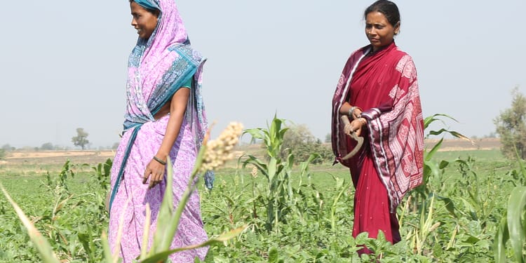 Community Irrigation
