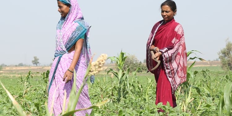 Community Irrigation