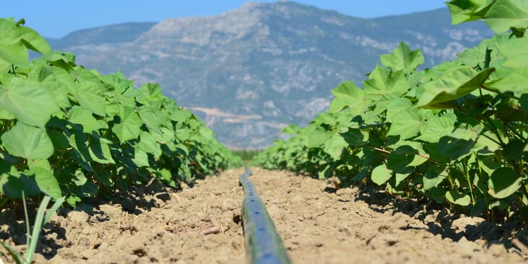 Fulfilling Regenerative Agriculture Through Precision Irrigation