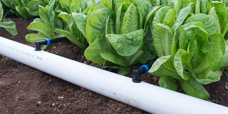 Tubería flexible para riego de precisión 