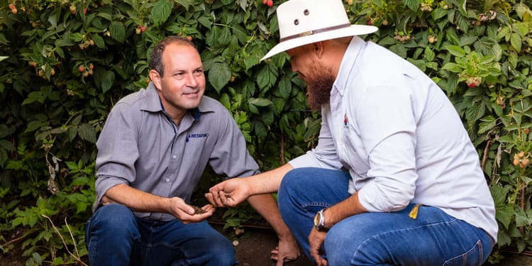 Agronomy: Knowledge that Drives Results