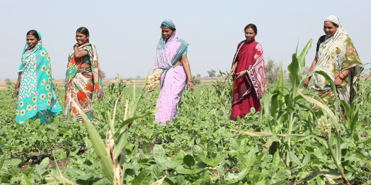 Ambito Rural Changing the Socio-economic landscape for rural communities with ...