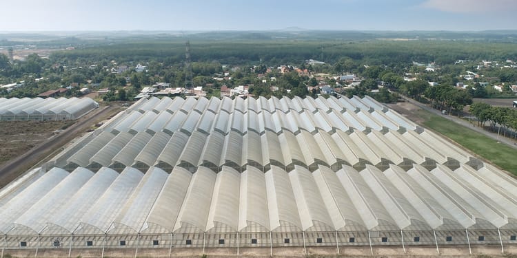Commercial greenhouse 