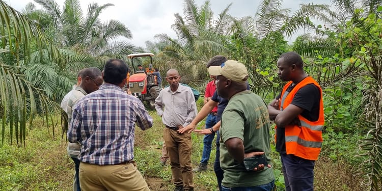 The world's largest palm oil project with precision irrigation