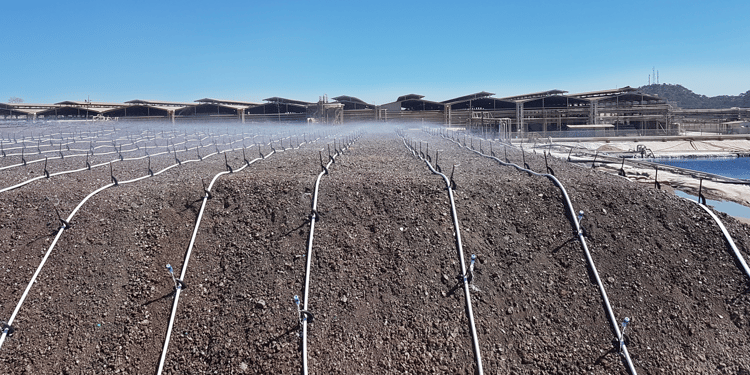 Sprinkler Irrigation in Heap Leaching 