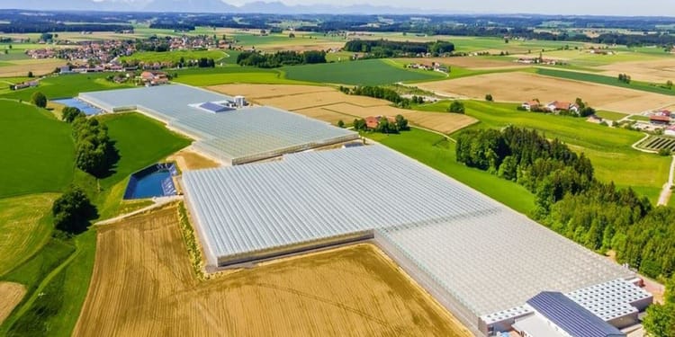 Venlo Glasshouse: Steiner - Greenhouse project