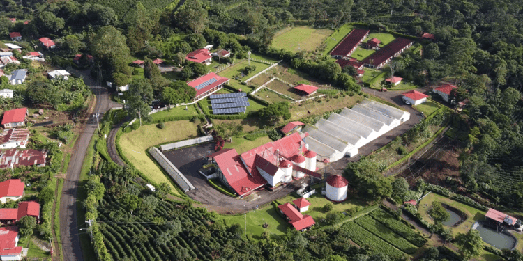 Pioneering Sustainability: Coffee Farm Embraces Drip Irrigation in Costa Rica