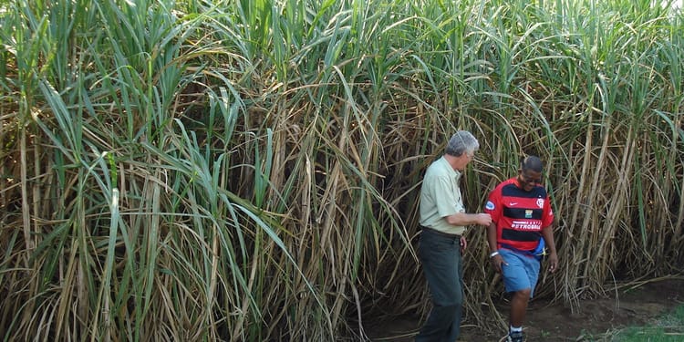Keeping Eswatini’s National Sugarcane Producer at the Cutting Edge of Modern Technology