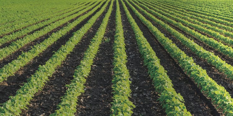 Precision irrigation solutions for open field crops 