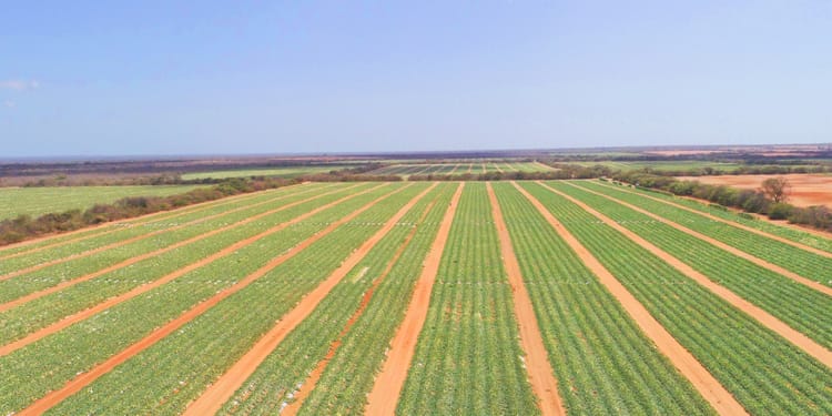 Precision Irrigation - Power a sustainable farming ecosystem to ensure a food secure future.