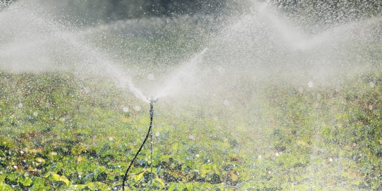 Sprinklers, micro-sprinklers and Special emitters