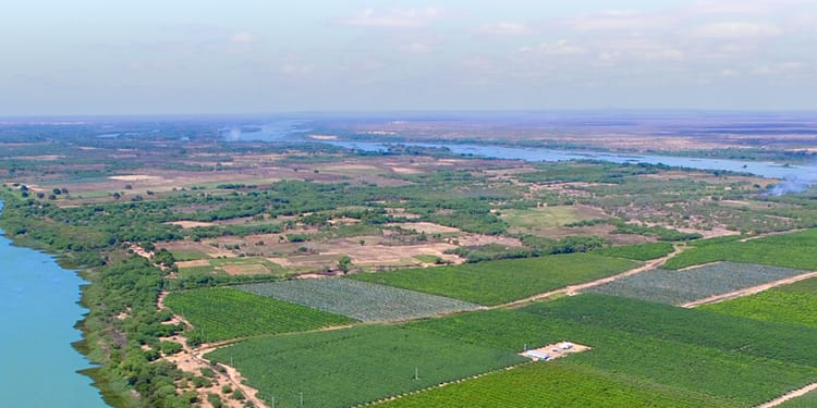 Sustainable Agriculture - Let’s change how the world grows food.