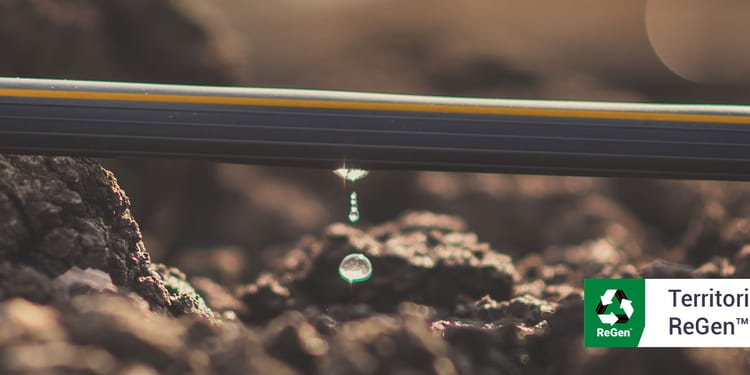 ReGen™: Productos sustentables