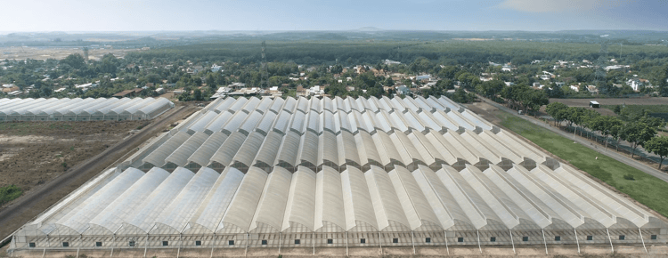 Proiecte de sere la cheie