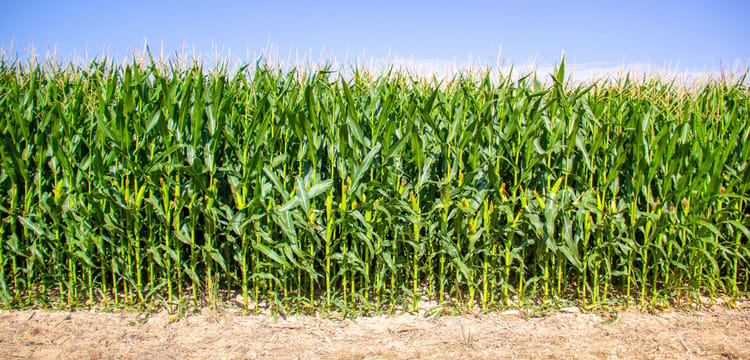 Make Your Farming Operation More Profitable than ever for years to come!