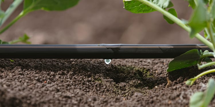 Banner Desafíos globales y soluciones efectivas: El rol del riego de precisión en la agricultura moderna.