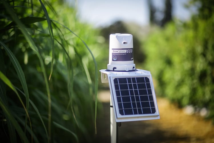 Banner Retos del Sector Agrícola en México: Cómo Enfrentarlos con Tecnología y Sostenibilidad