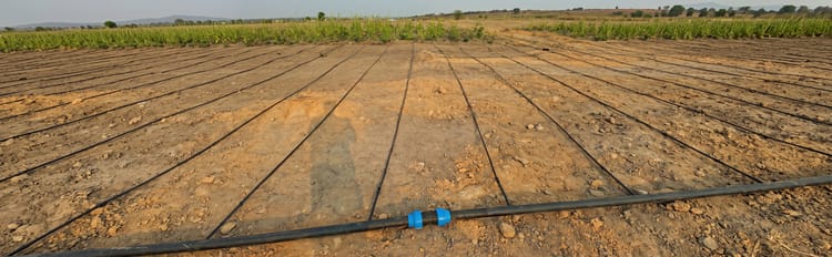 Banner Farm by Farm: Building a Stronger Agricultural Future in Angola
