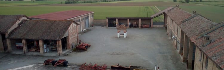 Farming in the Time of Corona: A Tale of Inspiration and a Lesson Learned