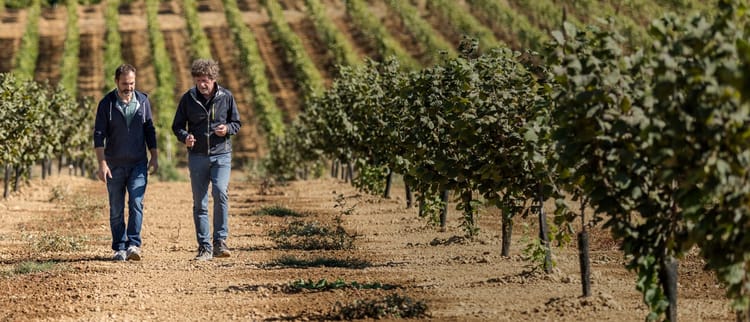 ΑΡΔΕΥΣΗ ΚΑΙ ΚΑΛΛΙΕΡΓΕΙΕΣ