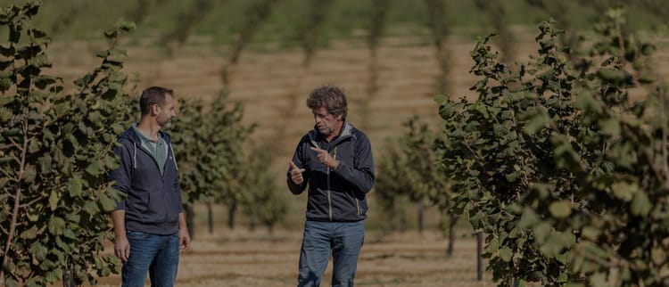 Preguntas frecuentes | Digital farming 