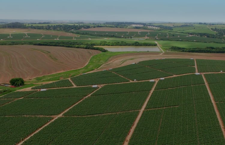 Proyectos de principio a fin: Incrementa tu éxito