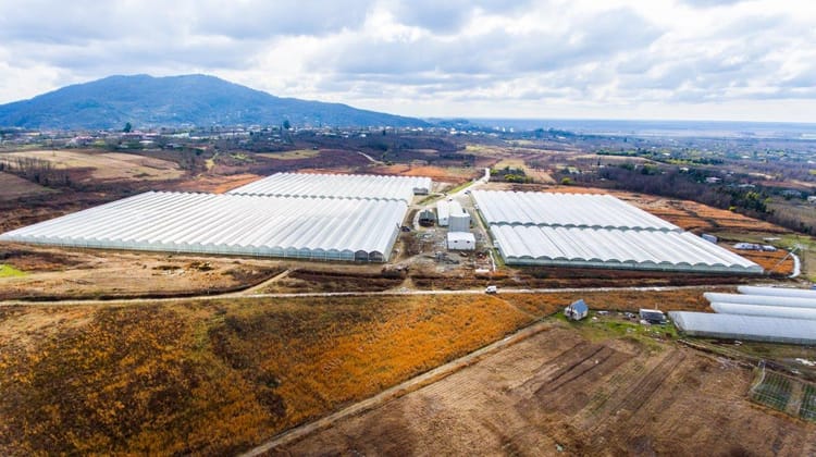 УПРАВЛЕНИЕ ТЕПЛИЧНЫМ ПРОЕКТОМ