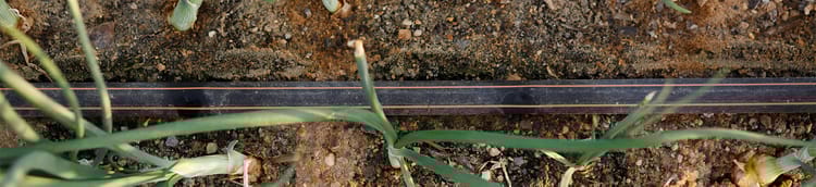 Banner Soluciones de riego y filtración para hortalizas