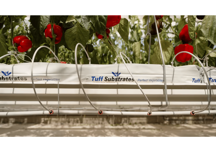 PCJ™ PRO dripper Netafim