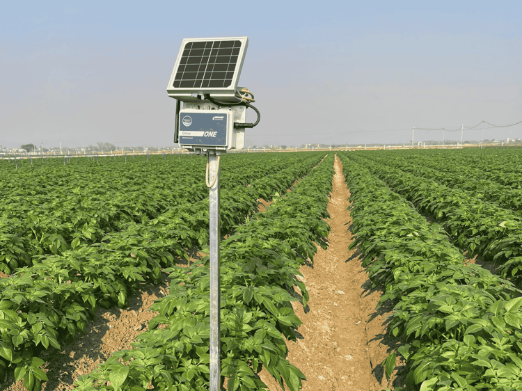 GrowSphere One in PepsiCo's field of potatoes in Vietnam