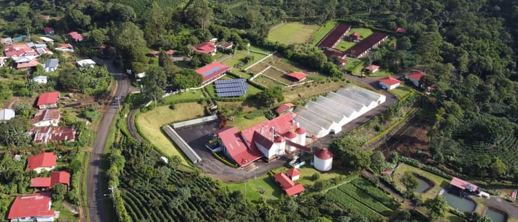 Pioneering Sustainability: Coffee Farm Embraces Drip Irrigation in Costa Rica