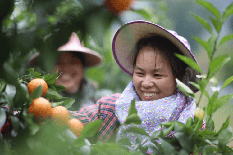 Woman smiling in farm field