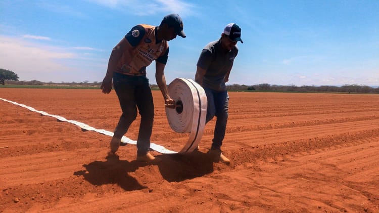 FLEXNET™ Warranty registration