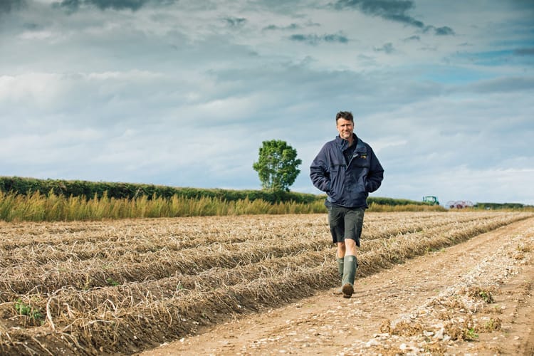 Processing potatoes, Norfolk, UK - Shoot 2 -  31