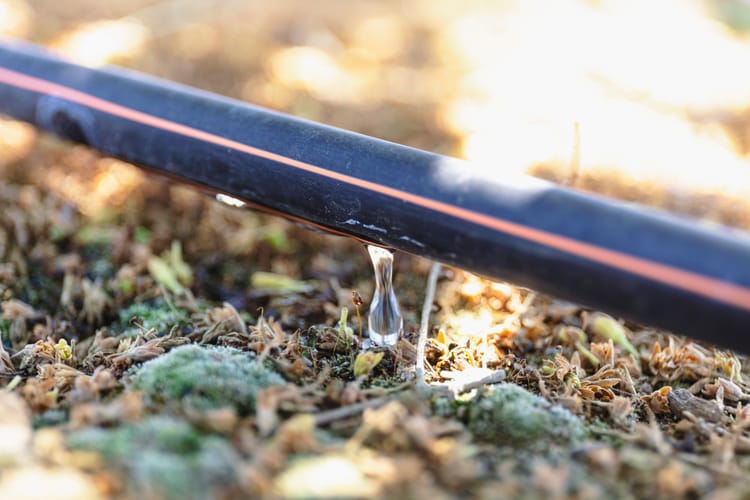 Banner Agricultura sustentable: el inicio de la circularidad