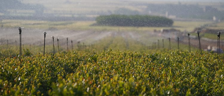 Stands para aspersión