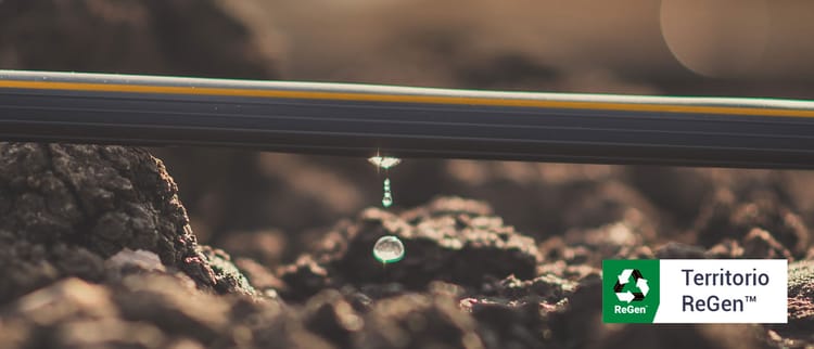 ReGen™: Productos sustentables