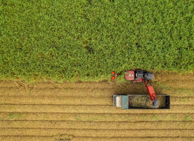 Agriculture’s Next Season Report | The Washington Post