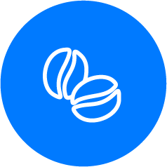 Drip irrigation and fertigation guideline for coffee