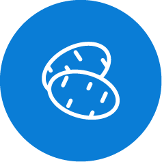 Drip Irrigation and Fertigation Protocol for Potatoes