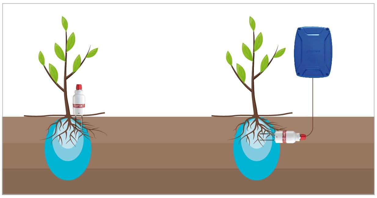 Sensor de humedad Delta T-SM 150T